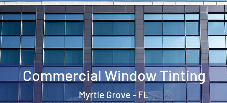  Commercial Window Tinting Myrtle Grove - FL