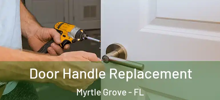  Door Handle Replacement Myrtle Grove - FL