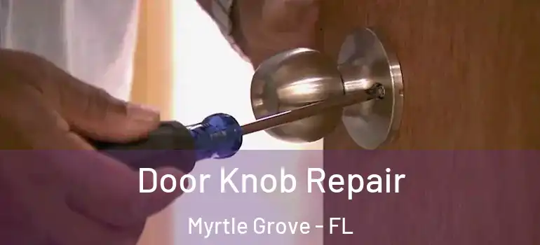  Door Knob Repair Myrtle Grove - FL