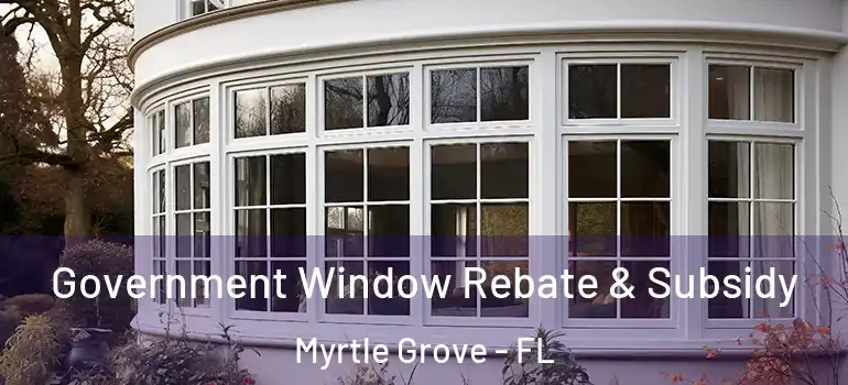  Government Window Rebate & Subsidy Myrtle Grove - FL