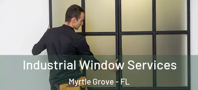  Industrial Window Services Myrtle Grove - FL