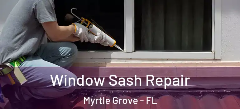  Window Sash Repair Myrtle Grove - FL